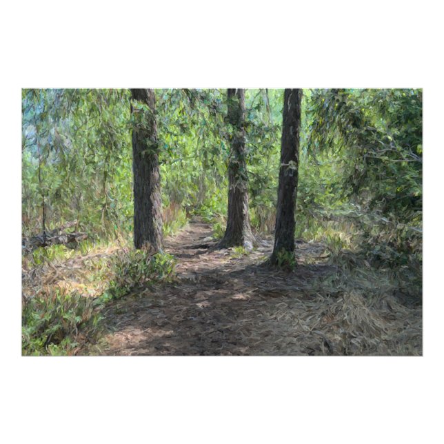Impression Photo Chemin de forêt (Devant)