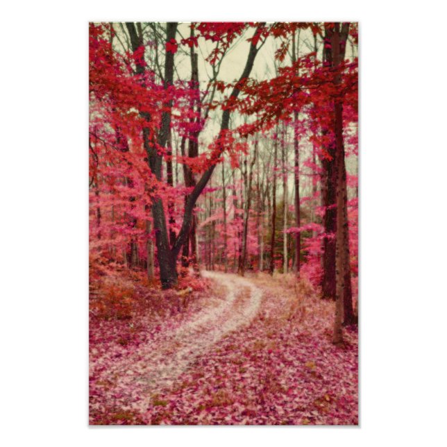 Impression Photo Chemin De Forêt Éthérée Aux Couleurs Rouge (Devant)