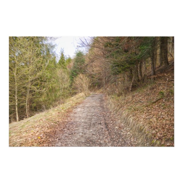 Impression Photo Chemin de printemps dans la forêt (Devant)