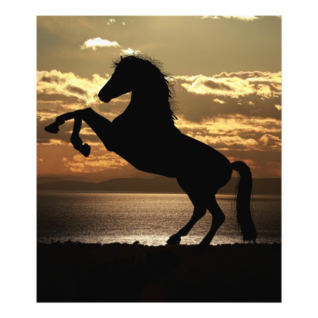 Impression Photo cheval (Devant)