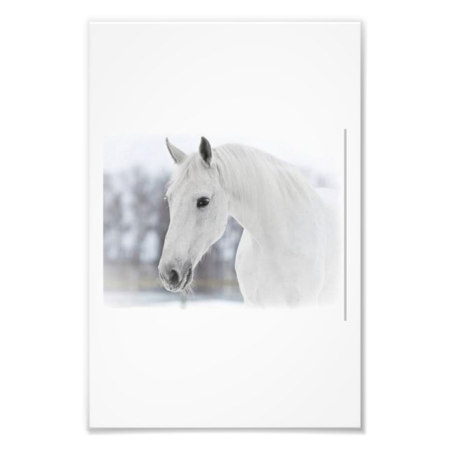 Impression Photo Cheval blanc (Devant)