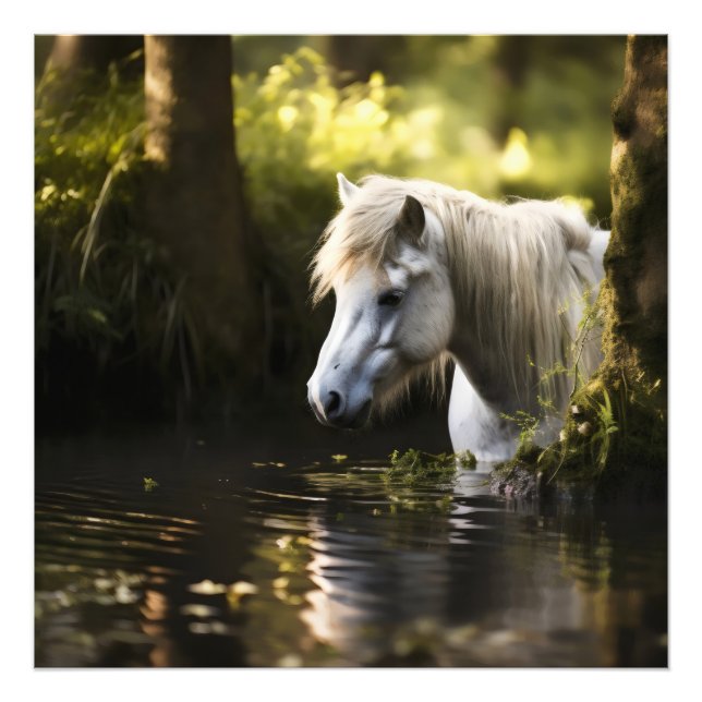 Impression Photo Cheval blanc dans l'étang (Devant)