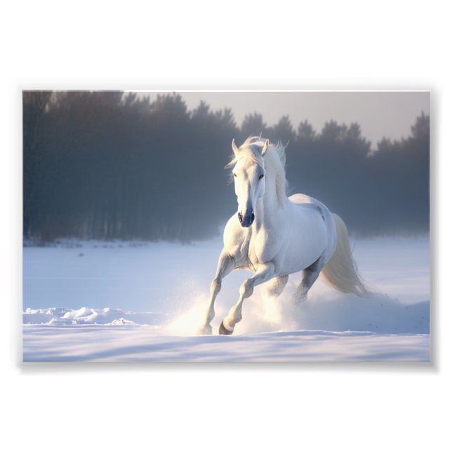 Impression Photo Cheval blanc en Neige, Chevaux, hiver (Devant)