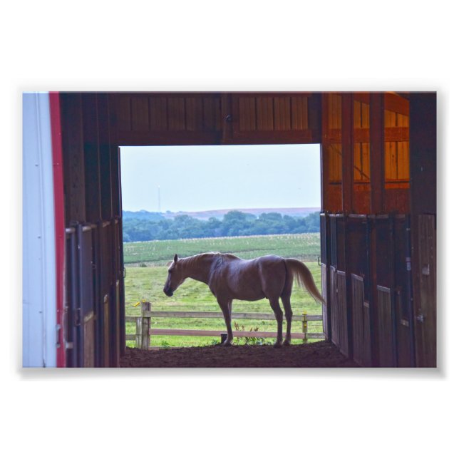 Impression Photo Cheval dans un Stable, Missouri (Devant)