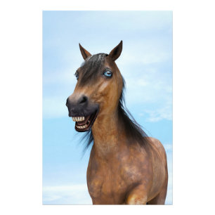 Impression Photo Cheval de baie souriant heureux