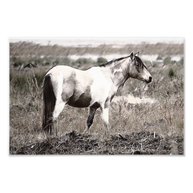 Impression Photo Cheval de style Pencile (Devant)