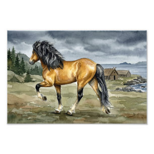 Impression Photo Cheval islandais Stormur au bord de la mer