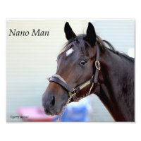 Cheval Thoroughbred - Nano Man