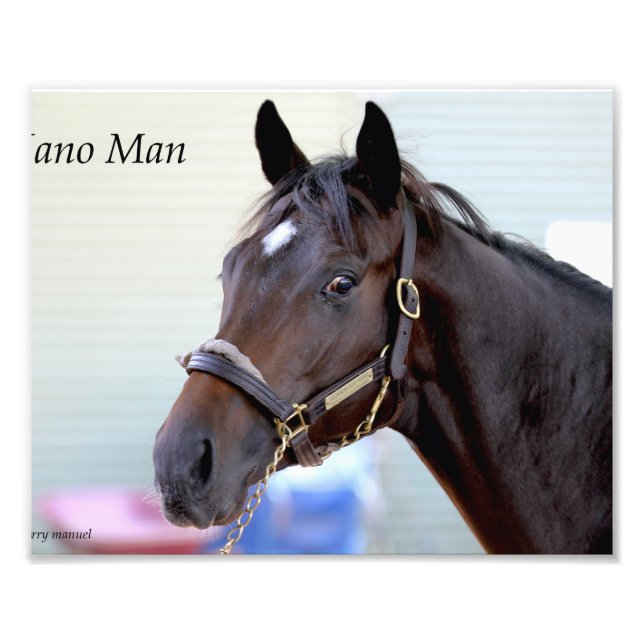Impression Photo Cheval Thoroughbred - Nano Man (Devant)