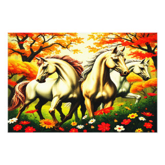 IMPRESSION PHOTO CHEVAUX PARADISE