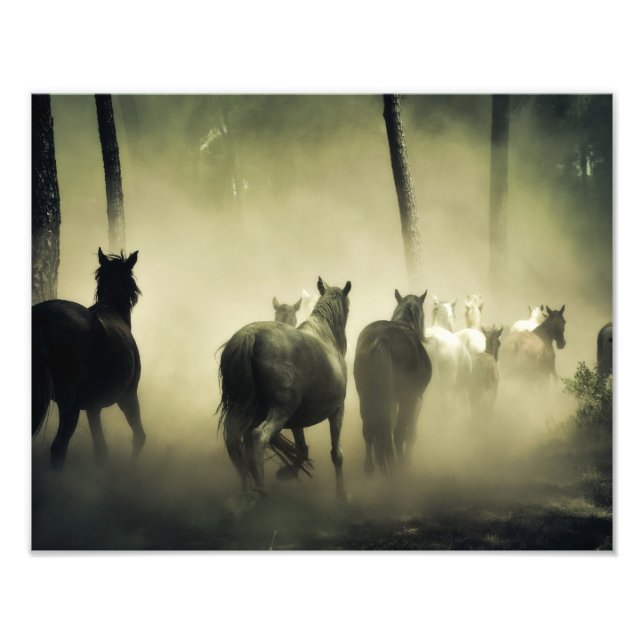 Impression Photo Chevaux sauvages (Devant)