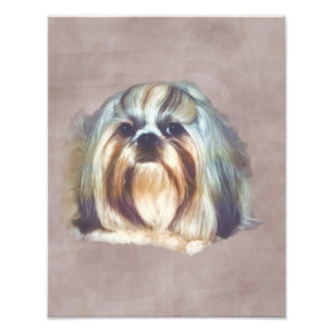 Impression Photo Chien Brindle et blanc de Shih Tzu