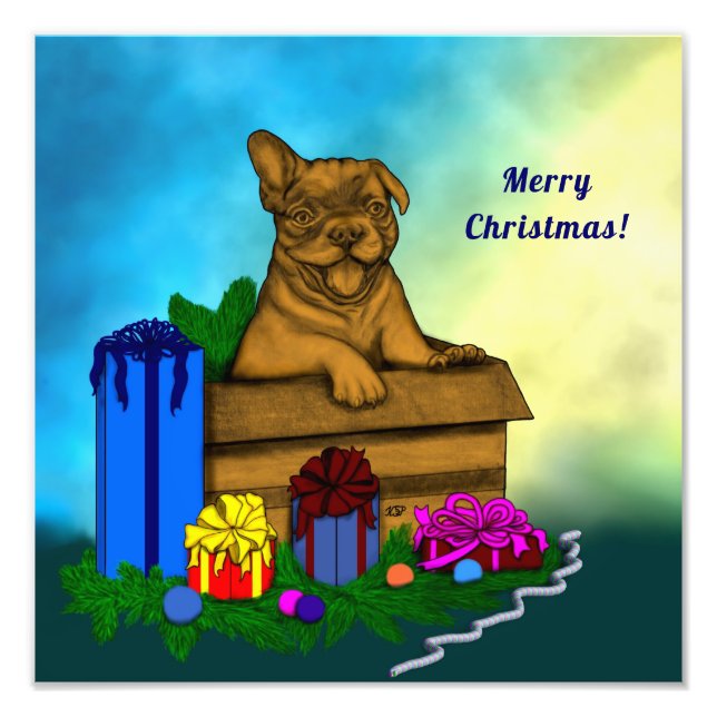 Impression Photo Chien dans une boîte, Joyeux Noël (Devant)