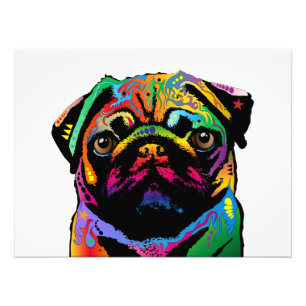Impression Photo Chien de carlin