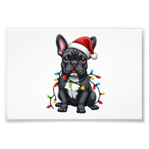 Impression Photo Chien de Noël Bouledogue Français Xmas Frenchie