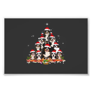 Impression Photo Chien de Noël de montagne bernois Arbre de Noël Sa
