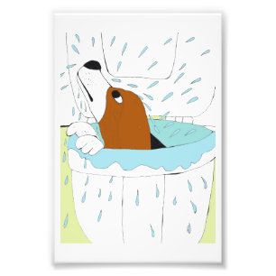 Impression Photo chien de toilette