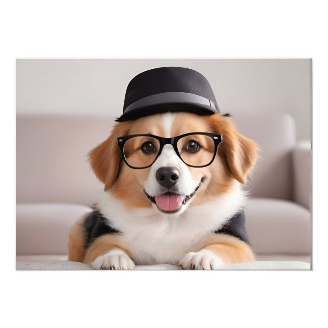 Impression Photo Chien drôle avec lunettes et casquette (Devant)