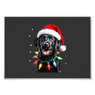 Impression Photo Chien en pyjama à lumières de sapin de Noël Labrad