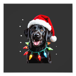Impression Photo Chien en pyjama à lumières de sapin de Noël Labrad