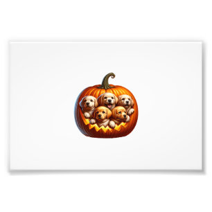 Impression Photo Chien Halloween