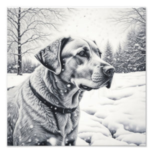 Impression Photo Chien noir et blanc AI croquis scène hivernale