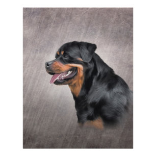 Impression Photo Chien Rottweiler
