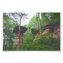Chien sautant de Stand Rock dans Wisconsin Dells
