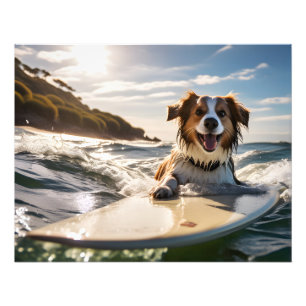 Impression Photo Chien sur planche de surf