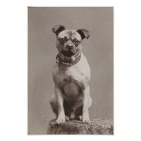 Chien vintage
