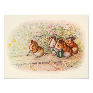 Impression Photo Chiens de Guinée et outils de jardin