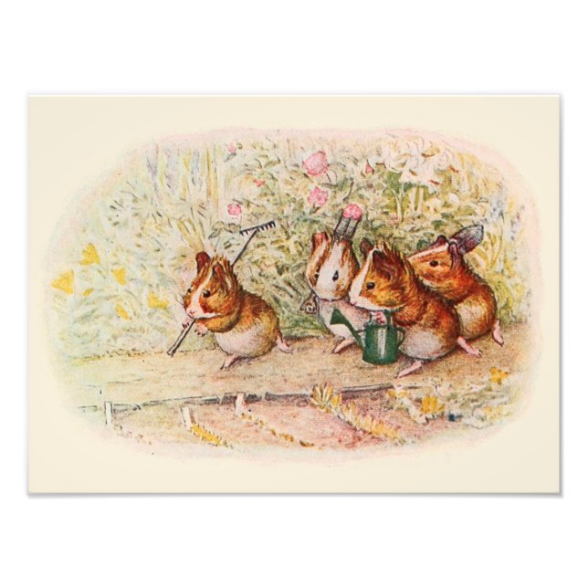 Impression Photo Chiens de Guinée et outils de jardin (Devant)