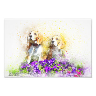 Impression Photo Chiens jumeaux