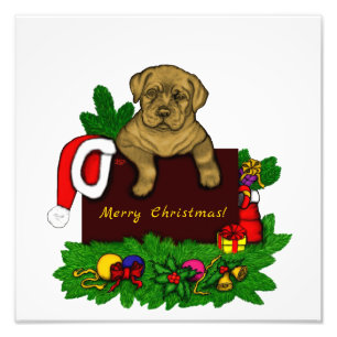 Impression Photo Chiffre XMas