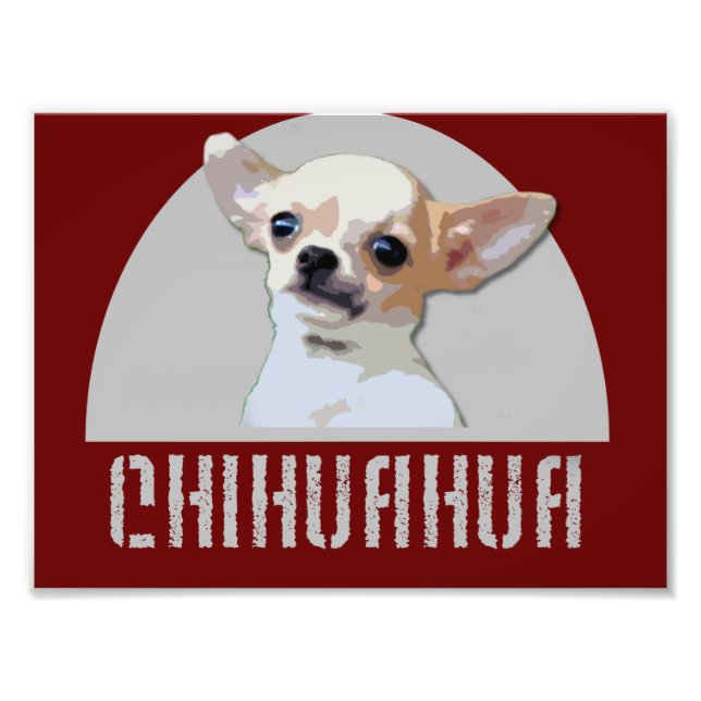 Impression Photo Chihuahua Chig (Devant)