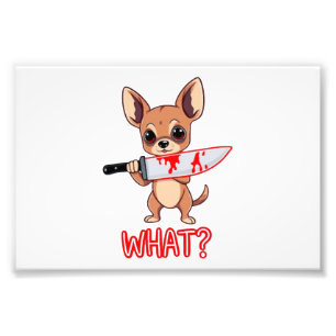 Impression Photo Chihuahua Douce Petite Chienne