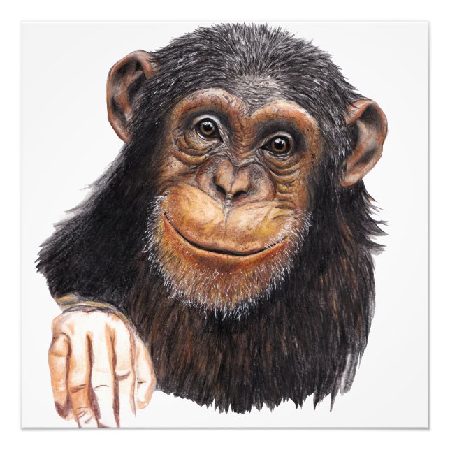 Impression Photo Chimpanzé Charmant (Devant)