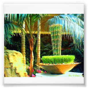 Impression Photo Chinois Bambu