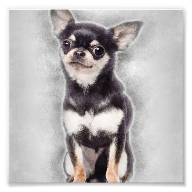 Impression Photo Chiot Chihuahua Assis | Décor Animal Mignon (Devant)