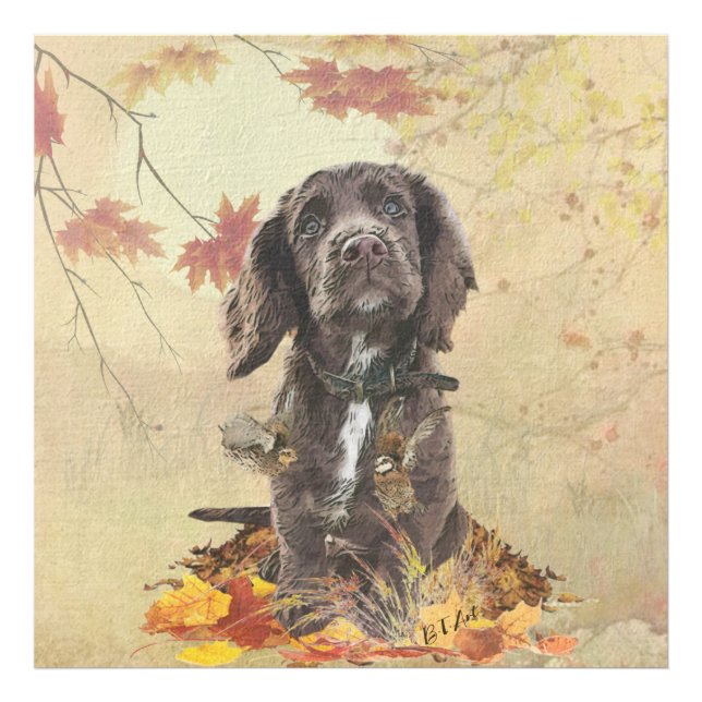 Impression Photo chiot cocker spaniel chocolat   (Devant)