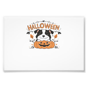Impression Photo Chiot mignon dans une citrouille � Illustration de