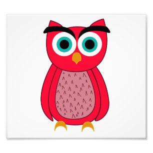 Impression Photo Chouette