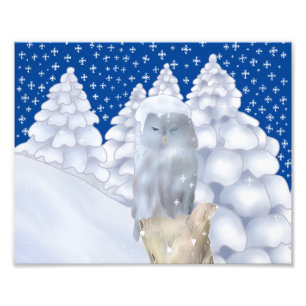 Impression Photo Chouette dans la neige