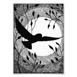 Impression Photo Chouette et croix de lune éclos