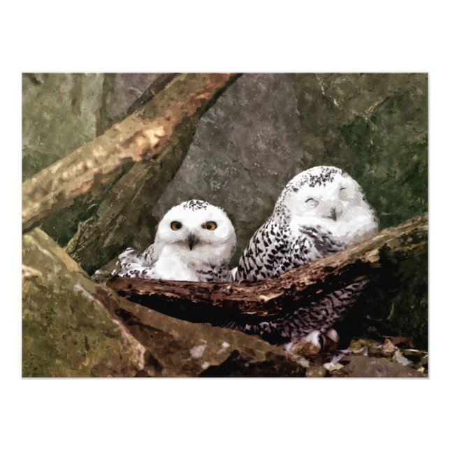 Impression Photo Chouette Harfang Couple Art Bois Faune (Devant)