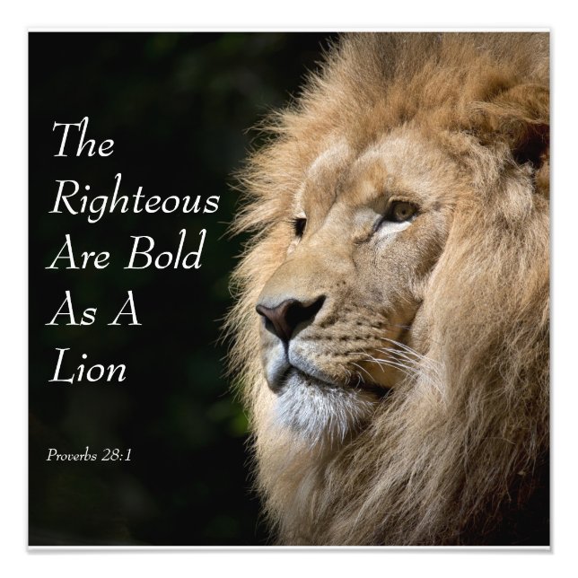 Impression Photo Christian Art - Lion - Proverbs 28:1 (Devant)