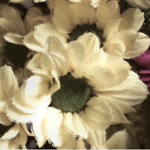 IMPRESSION PHOTO CHRYSANTHEMUM JAUNE