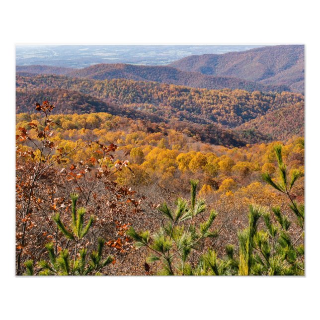 Impression Photo Chute dans le parc national de Shenandoah (Devant)