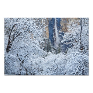 Impression Photo Chutes de neige fraîche dans les arbres sous Brida