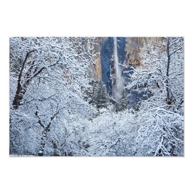 Impression Photo Chutes de neige fraîche dans les arbres sous Brida (Devant)